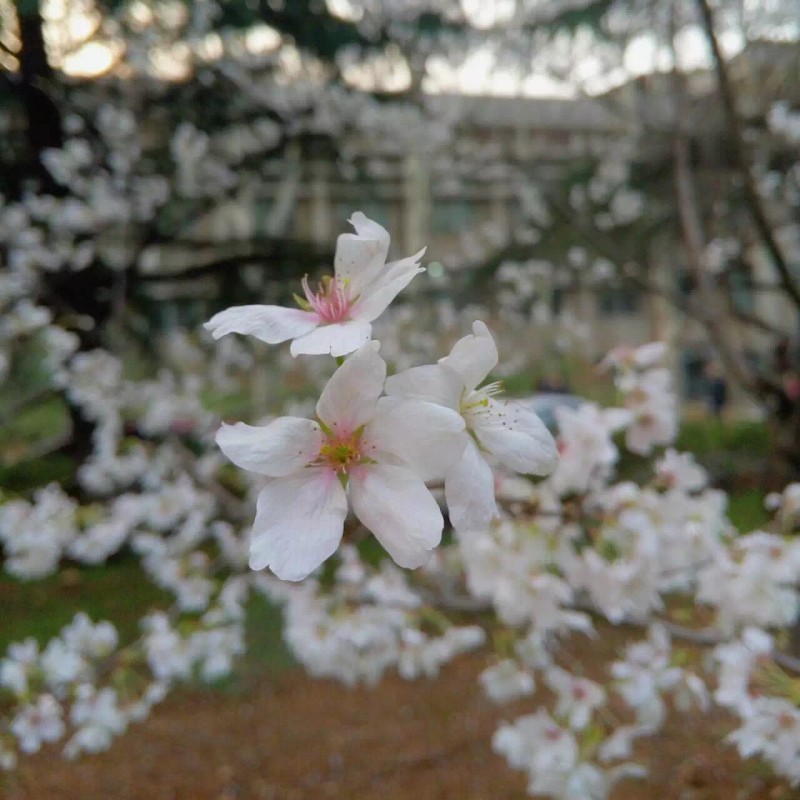 你不该错过歌曲,你不应错过的十大原创好文