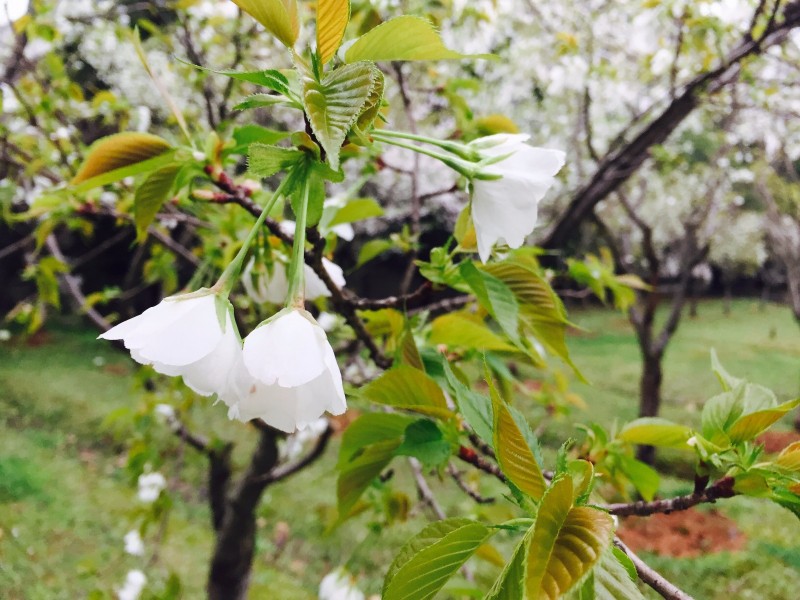 你不该错过歌曲,你不应错过的十大原创好文