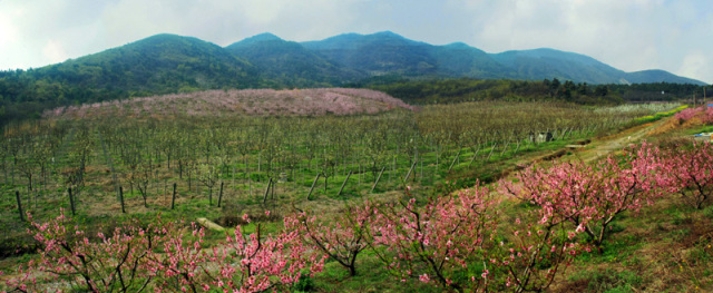 镇江山林之城,镇江周边神秘村庄