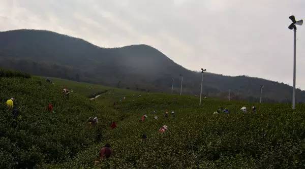 镇江山林之城,镇江周边神秘村庄