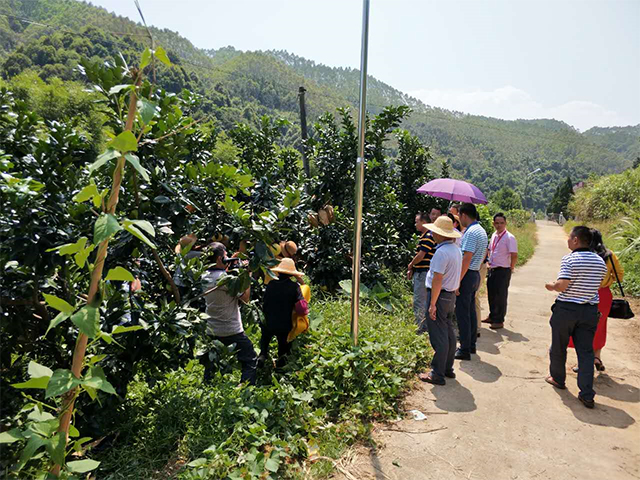 互联网时代乡村电商,乡村电商之路