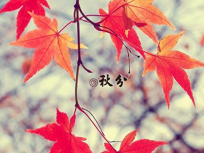 秋分时间是怎么计算的,秋分刚过你知道哪些知识