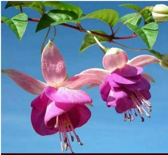 婚礼现场娘家人没有一个人去,结婚当天娘家要留一个人在家吗