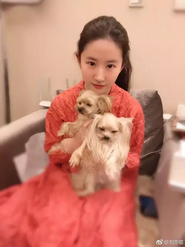 神仙姐姐刘亦菲护肤,刘亦菲代言的护肤品