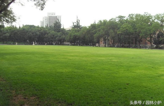 暖季型草坪如何延长绿期,暖季型草坪如何快速返青