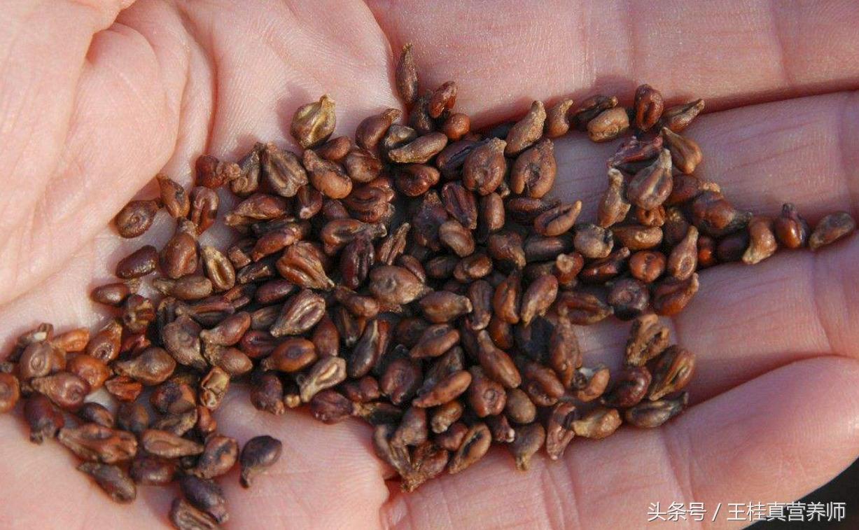 葡萄籽值得吃吗,葡萄籽怎么样吃比较好