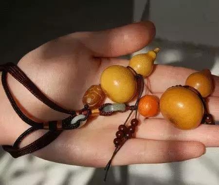 手捻葫芦室内阳台可以种吗,手捻葫芦几月份种好