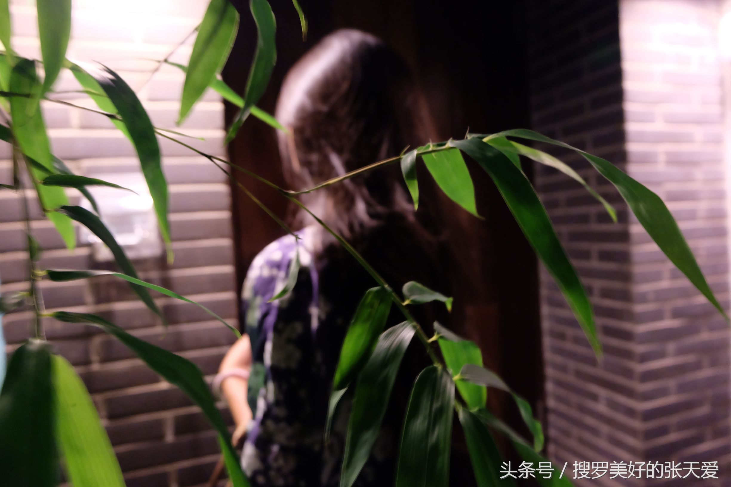 自然环境酒店,最美黄山酒店