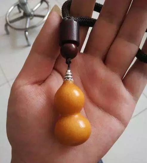 手捻葫芦室内阳台可以种吗,手捻葫芦几月份种好