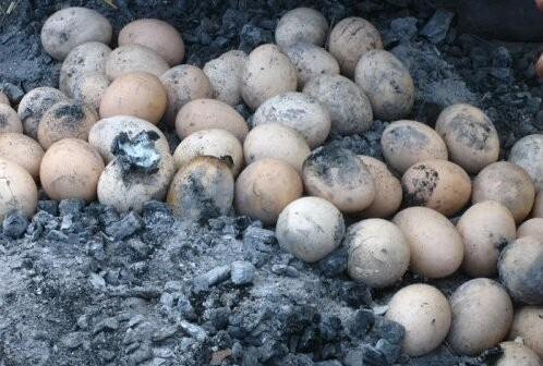 鸡蛋的不同吃法,鸡蛋的吃法烤鸡蛋