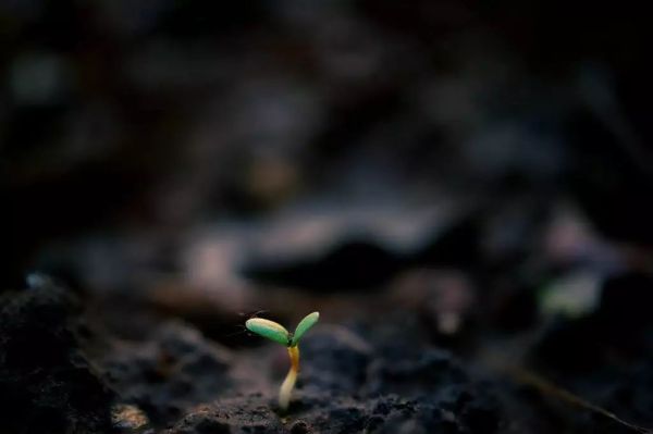 vr时代高清视频,vr时代团购