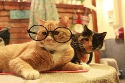 新手美瞳的正确戴法和护理,美瞳到底要怎么戴