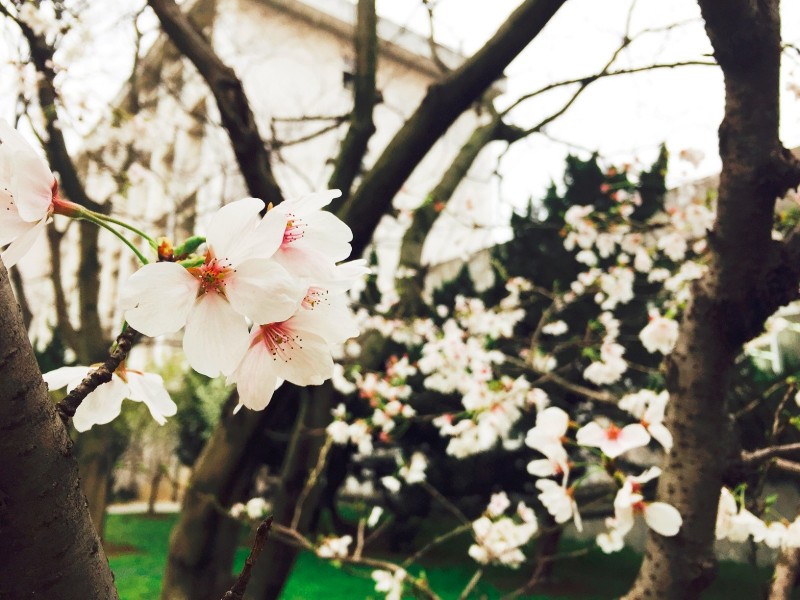 你不该错过歌曲,你不应错过的十大原创好文