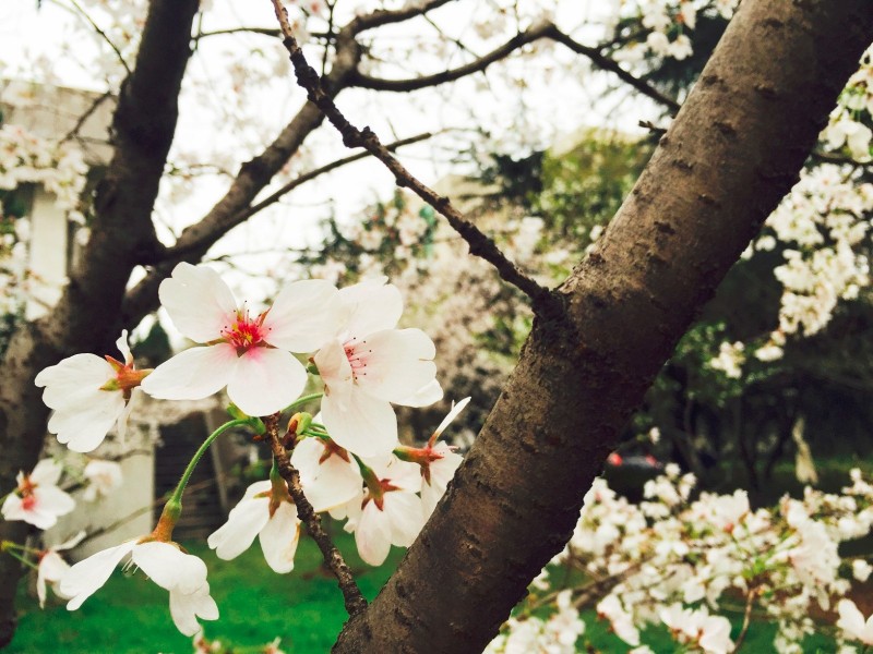 你不该错过歌曲,你不应错过的十大原创好文