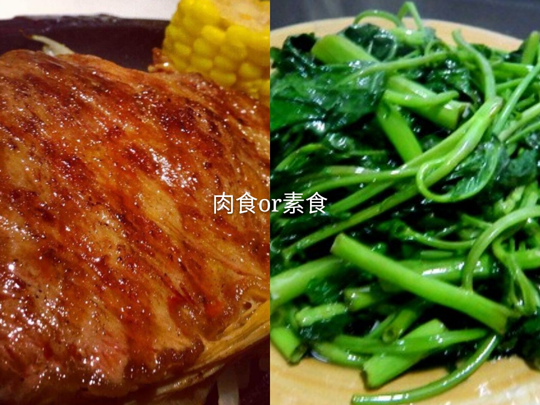 素食好不好,素食到底好不好