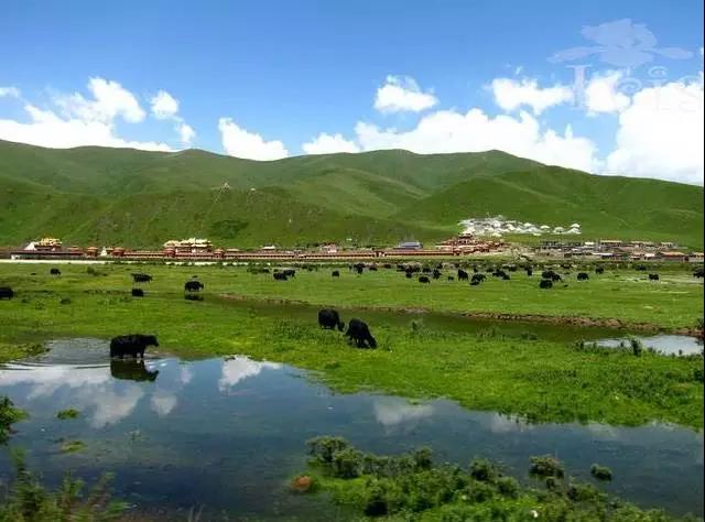 青海人的十大特征,主要看气质是谁提出来的