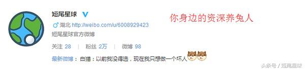 兔子的11个令人惊讶的事实,猜兔子的谜语有哪些