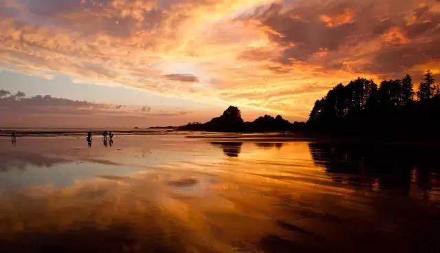 加拿大代购必备清单,加拿大好东西有哪些