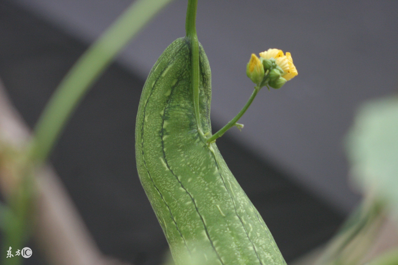野外饮用水知识科普,户外小知识小妙招全集
