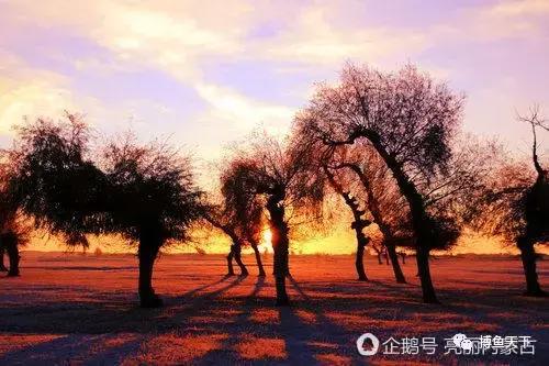 沙海中耀眼的奈曼：一个可以“游遍”内蒙古的地方，有值得体验的钓场