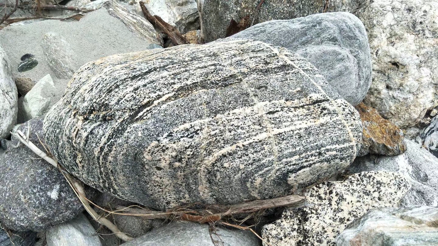 西藏代购都是提前商量好的吗,良心代购靠谱吗