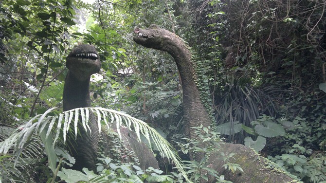 深圳青青世界图片,深圳青青世界校服