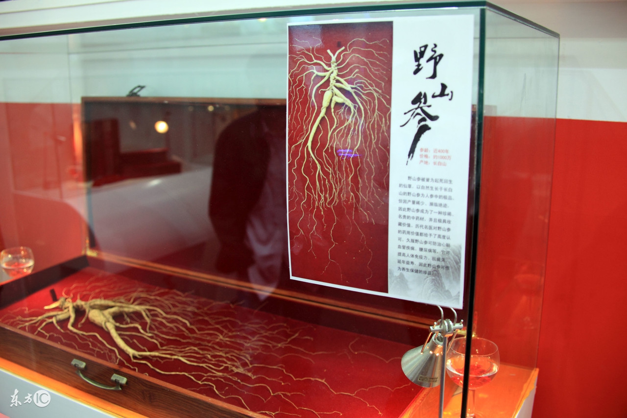 人参的真伪与好坏应该怎么辨别呢,长白山人参编号怎么辨别真伪