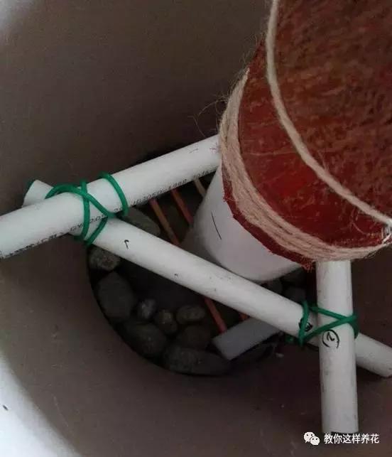 自制绿萝棕柱视频,自制绿萝柱子