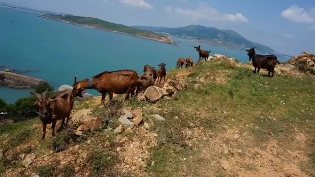 去台湾最近的地方,去祖国大陆离台湾最近的地方