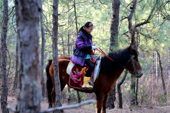 云南丽江香格里拉大理六日游,云南丽江大理香格里拉六日游