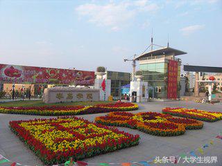 青岛最好的两个学校,青岛全山东最好的十个大学