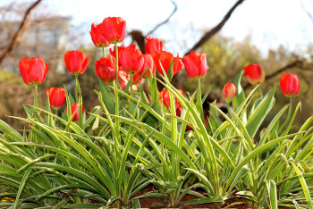 云南丽江香格里拉大理六日游,云南丽江大理香格里拉六日游