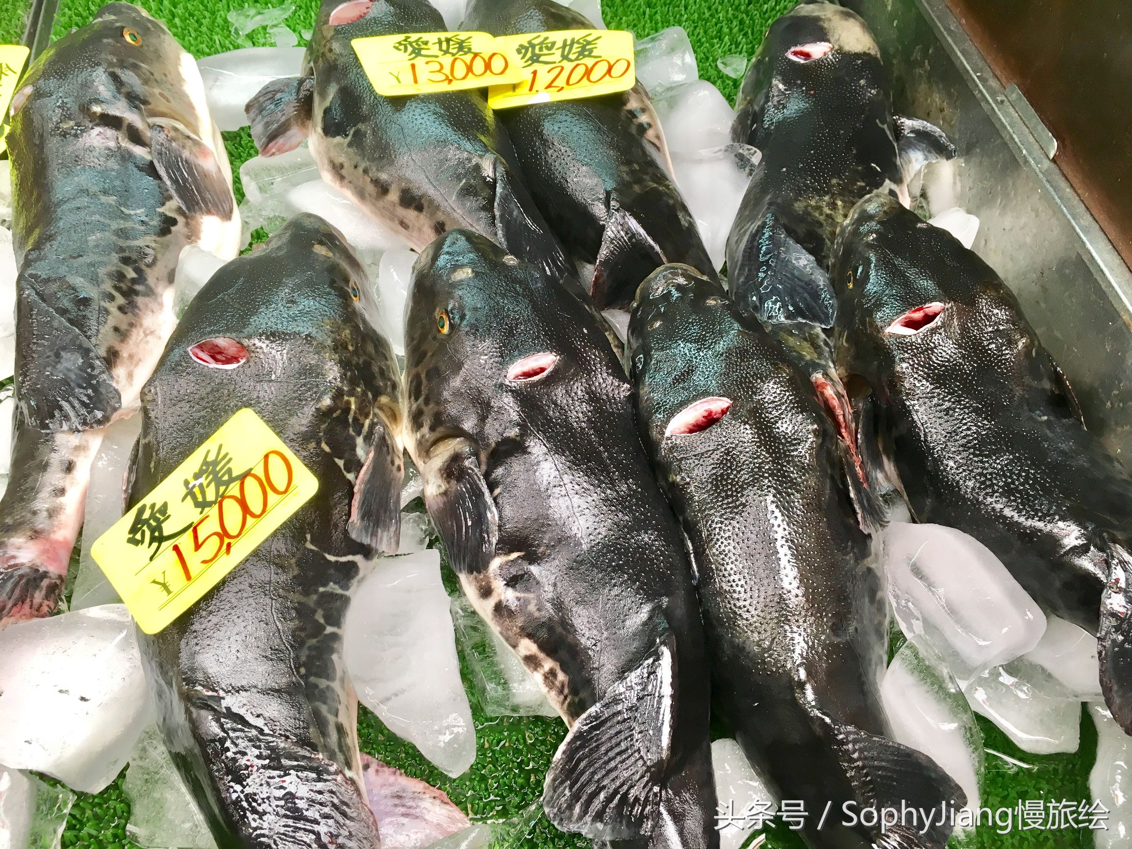 日本大黑门海鲜市场,日本大阪河豚