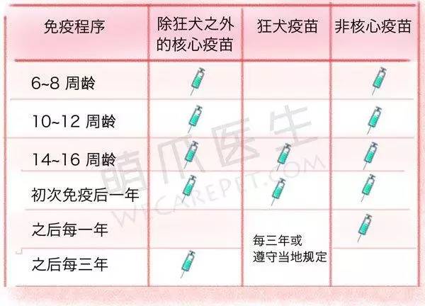 狗狗免疫针怎么打,狗狗疫苗该怎么打才合理