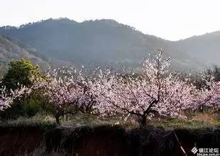 镇江山林之城,镇江周边神秘村庄