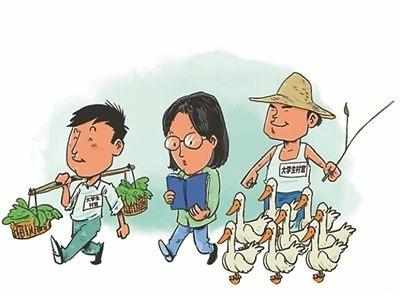 农村的村官有哪些,在农村最受欢迎的村干部