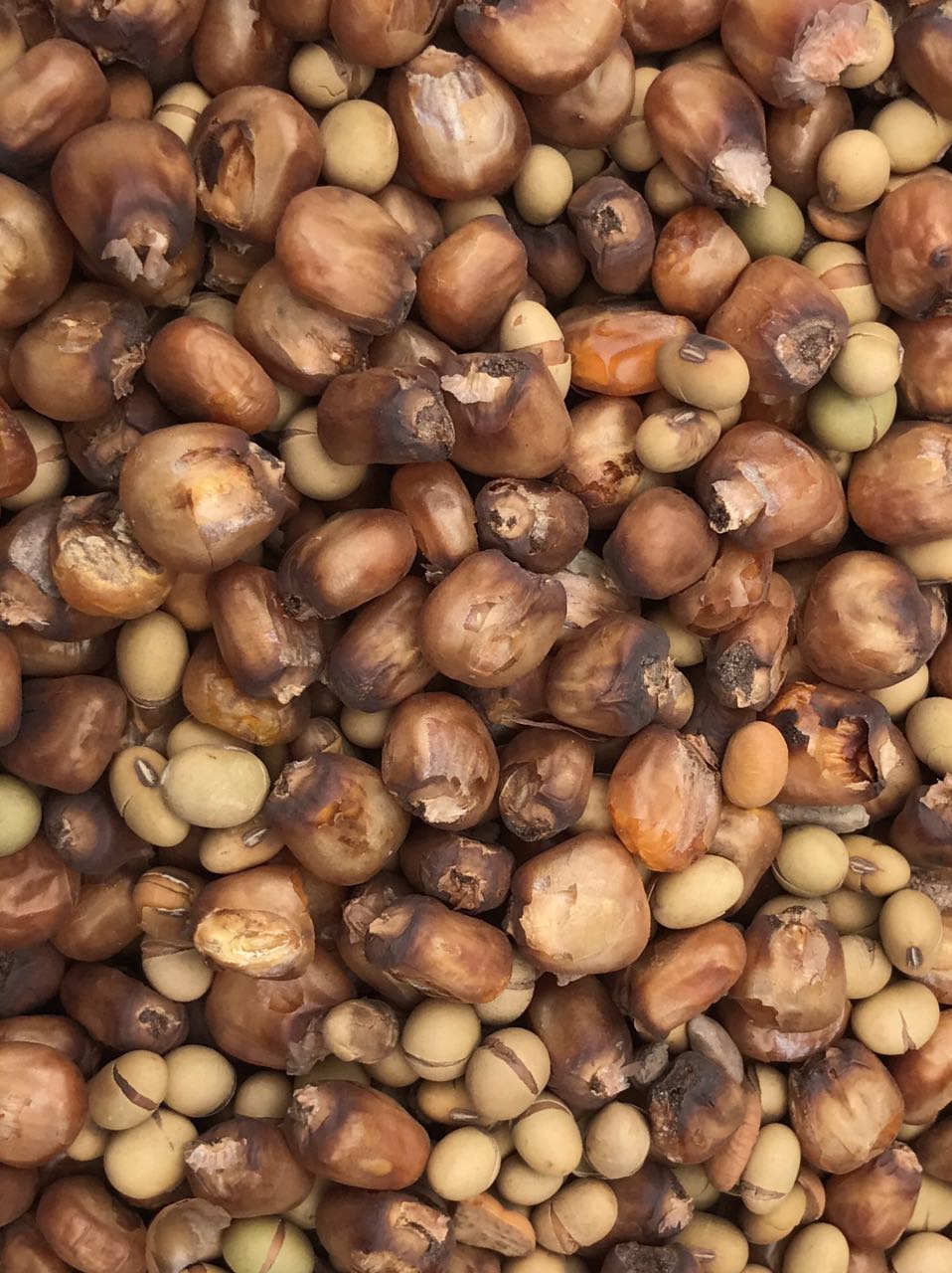 农村小伙走街串巷做爆米花,农村大哥自制老式爆米花