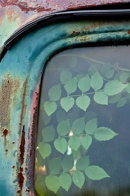 纳米比亚暗夜保护区,世界尽头与冷酷仙境是谁写的