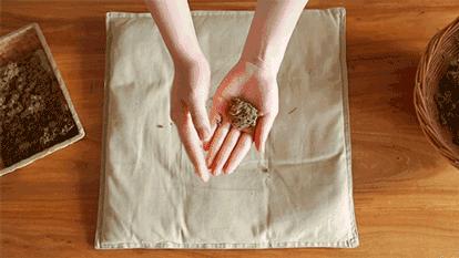 艾条好坏视频,艾条好不好用了才知道