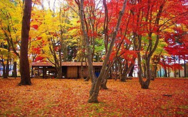 日本北海道童话小镇,日本北海道浪漫
