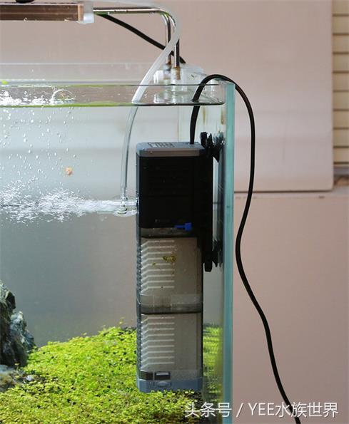 上滤、底滤、背虑、外挂、内置各种过滤，到底哪种适合你的鱼缸？