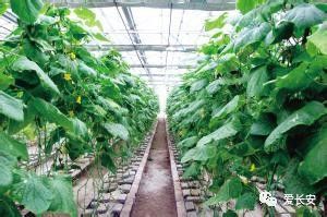 国庆旅游人少好玩儿的地方,旅游不要去的十大城市