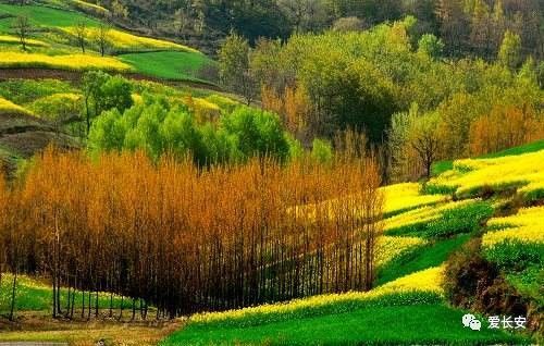 国庆旅游人少好玩儿的地方,旅游不要去的十大城市