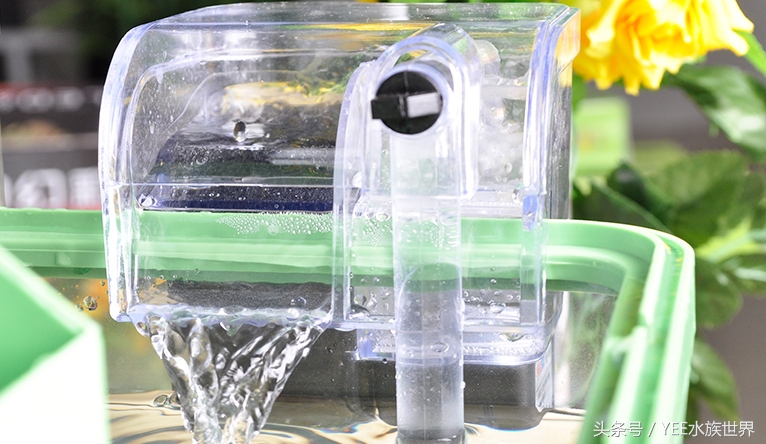 上滤、底滤、背虑、外挂、内置各种过滤，到底哪种适合你的鱼缸？