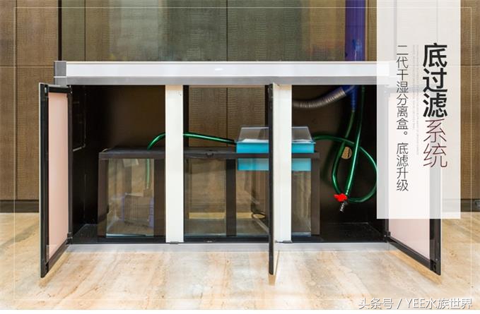 上滤、底滤、背虑、外挂、内置各种过滤，到底哪种适合你的鱼缸？