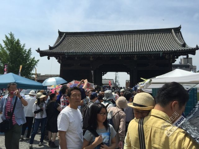 日本小众深度游玩攻略,日本关西打卡攻略