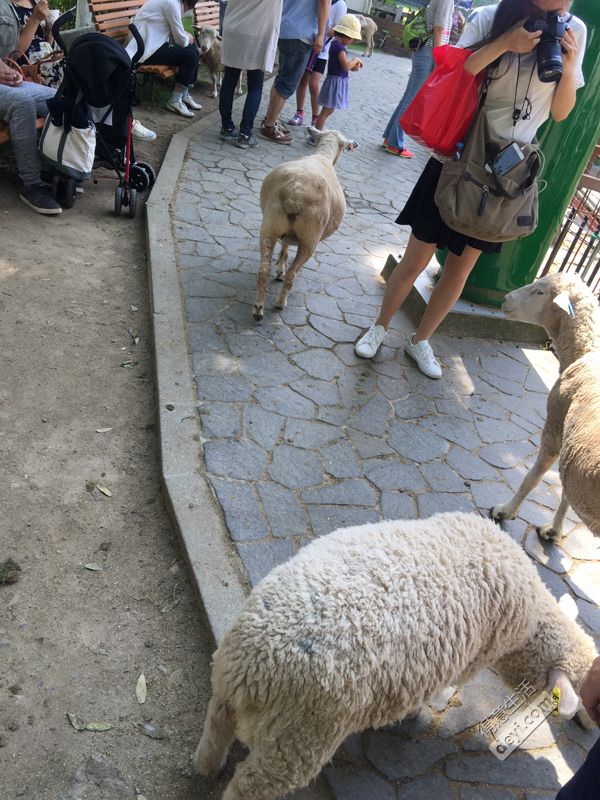 日本小众深度游玩攻略,日本关西打卡攻略