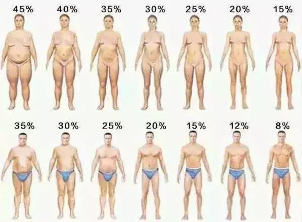 bmi究竟是什么,一文彻底搞懂什么是opc