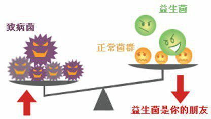 婴幼儿益生菌看什么标准,汤臣倍健益生菌婴幼儿