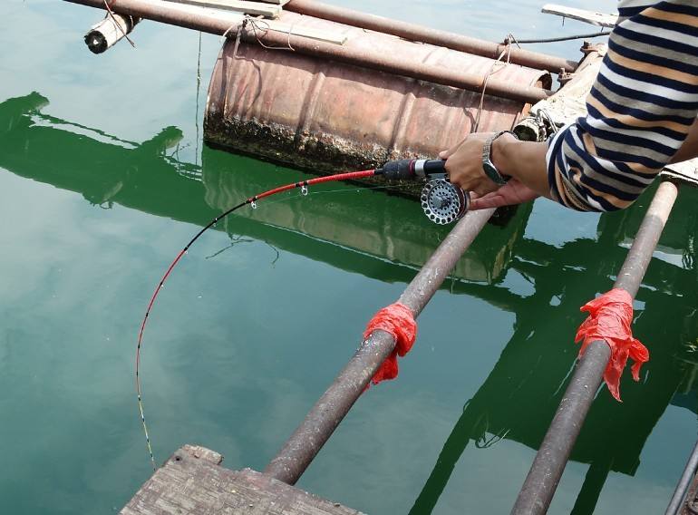 筏钓的乐趣有哪些,筏钓是什么原理